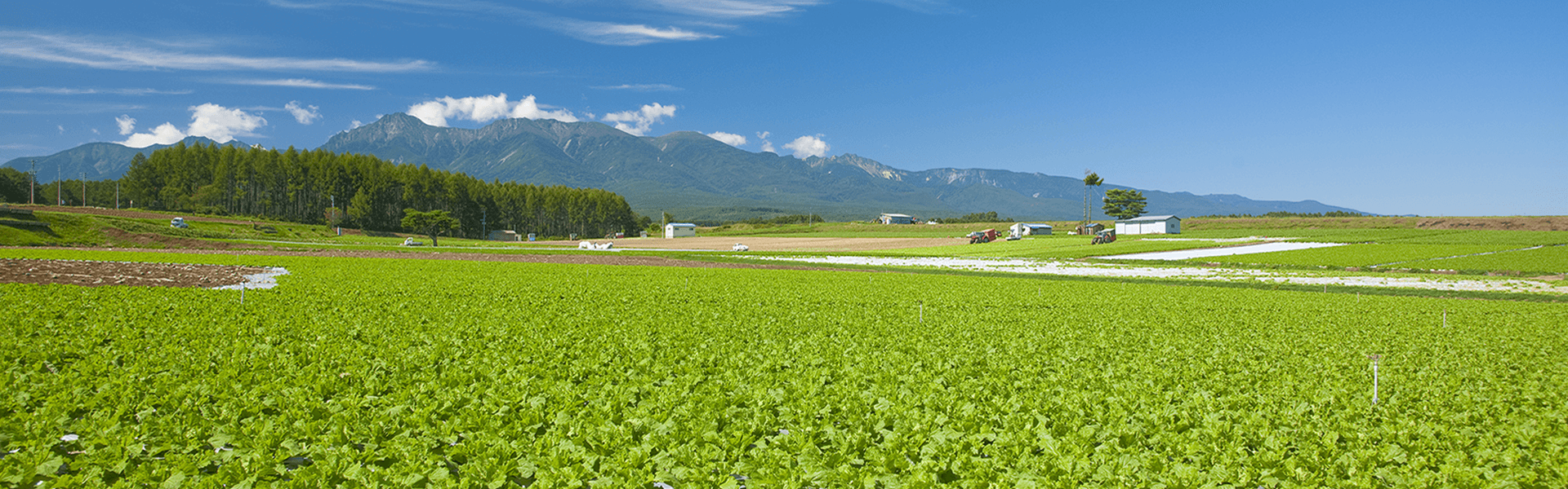 自然の力で循環型社会をつくる